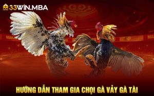 Vảy Gà Tài Và Cách Nhận Biết Chiến Kê Siêu Hạng Tại 33WIN