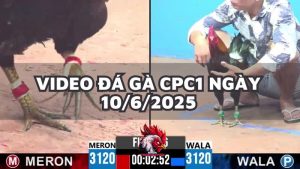 da-ga-cpc1-10-6-25