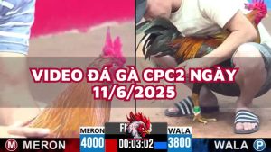 da-ga-cpc2-11-6-25