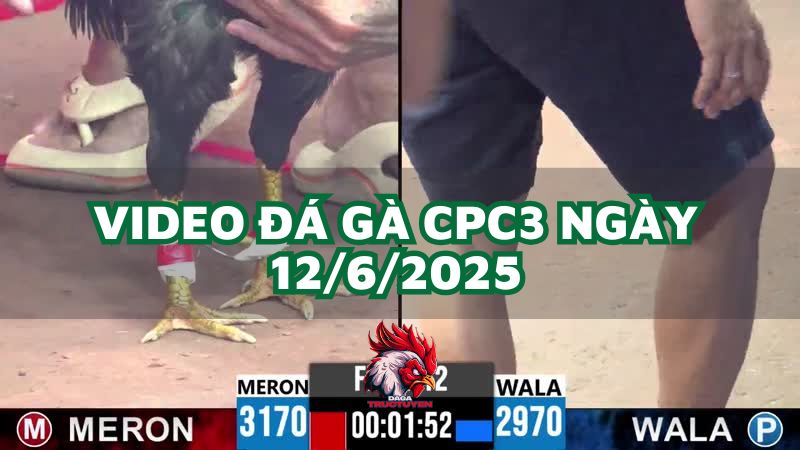 da-ga-cpc3-12-6-2025