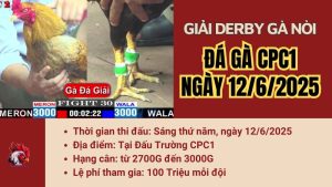 giai-cpc1-12-6-2025