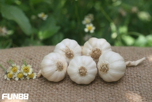 8 cách xả xui cực kì chính xác nhất định bạn phải biết 4 Những lưu ý trong cách xả xui vận đen