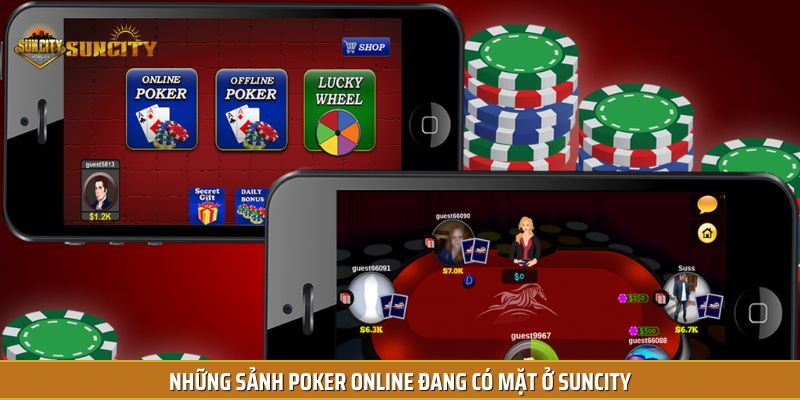 Có nhiều sảnh cược đa dạng để anh em tham khảo lựa chọn khi chơi Poker